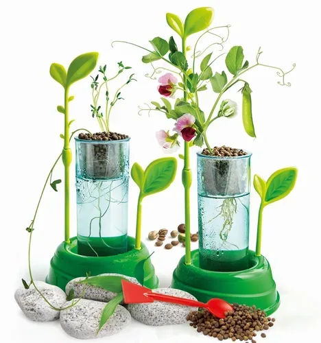 Clementoni, Clementoni Botanique et Hydroponie (Französisch)