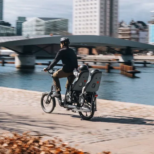 Thule, Thule Yepp Nexxt 2 Maxi RM Kindersitz