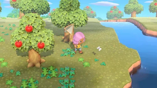 Nintendo, Nintendo - Animal Crossing: New Horizons, (Switch) DE, FR, IT