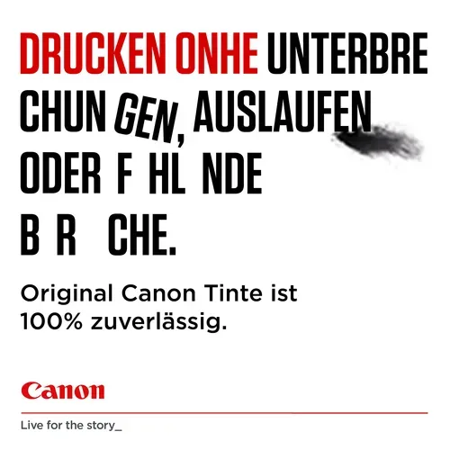 Canon, Canon - Pg-540l
