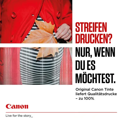 Canon, Canon - Pg-540l