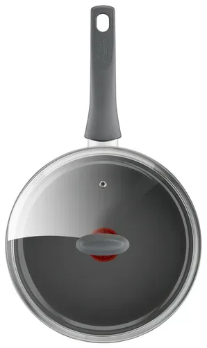 Tefal, Tefal Schmorpfanne 24cm