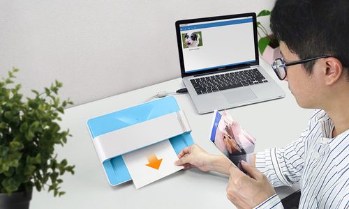Plustek, Plustek ePhoto Z300 Fotoscanner 300 x 300 dpi Automatikbetrieb