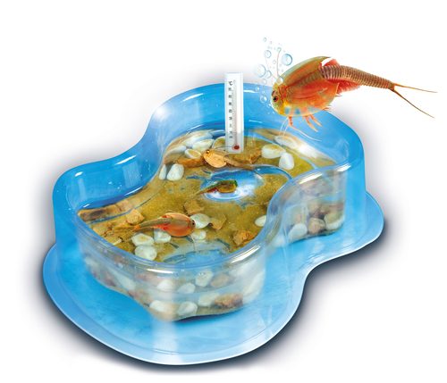 undefined, Éléve tes Triops