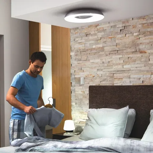 Philips Hue, Philips Hue White Ambiance Still Deckenleuchte – Deckenlampe/Wandlampe – schwarz