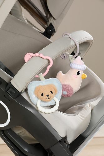 Baby Born, Baby Born Beissring "BABY born for babies Schnuller"
