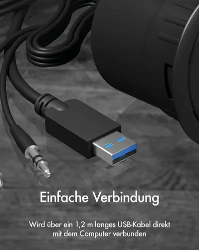RaidSonic, RaidSonic - ICY BOX Tisch-Hub IB-HUB1403B