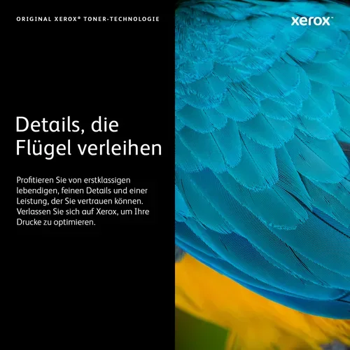 Xerox, XEROX - VersalinkC50XMagentaDrumCART (M), One Size