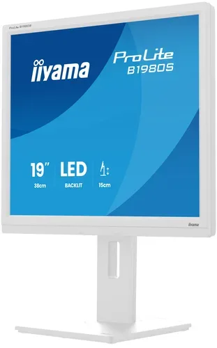 undefined, iiyama Monitor ProLite B1980S-W1