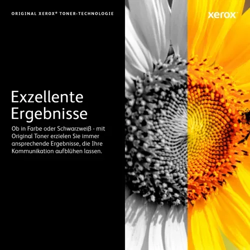Xerox, XEROX - VersalinkC50XMagentaDrumCART (M), One Size