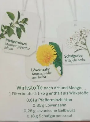 Bad Heilbrunner Naturheilmittel, BAD HEILBRUNNER Tee Leber und Galle Filterbeutel 8X1.75 g Filterbeutel