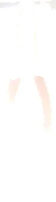 undefined, Freixenet Carta Rose Dry 11,5% 0,75L
