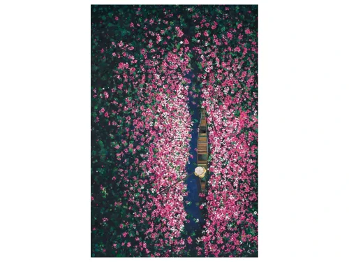 image LAND Gemälde Blumenboot  | Schubiger Möbel