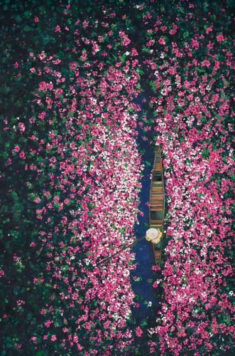 image LAND Gemälde Blumenboot  | Schubiger Möbel