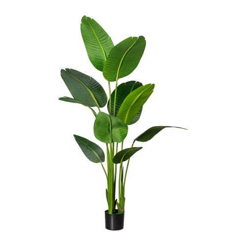 Gasper Kunstpflanze Strelitzia Grün | Schubiger Möbel