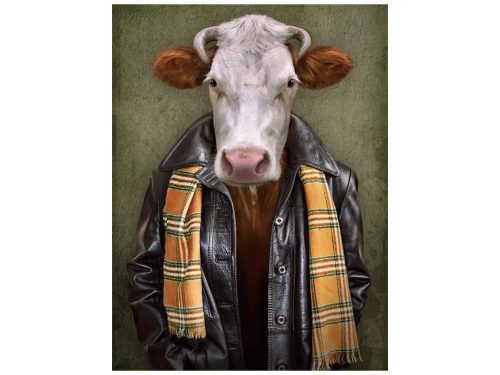 image LAND Digitaldruck auf Glas Rind mit Lederjacke  | Schubiger Möbel