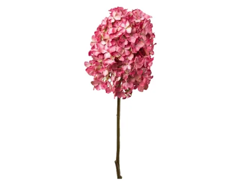 Gasper, Gasper Kunstblume Hortensie Rosa H: 83 cm  | Schubiger Möbel
