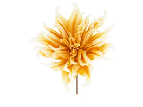 Decofinder, Decofinder Kunstblumen Dahlien, Orange  | Schubiger Möbel