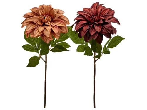 Edg, Edg Kunstblume Dahlie Braun-Rot H: 50 cm  | Schubiger Möbel