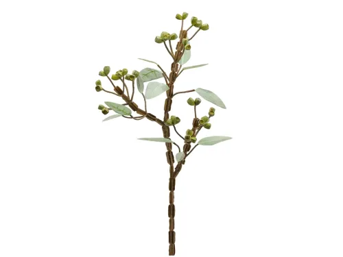 Edg Kunstblume Eucalypthus Grün H: 80 cm  | Schubiger Möbel