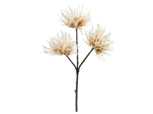 Gasper, Gasper Kunstblume Urchin Creme H: 37 cm  | Schubiger Möbel