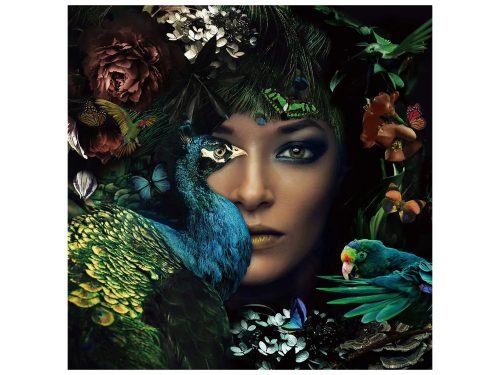 image LAND Digitaldruck auf Glas Die Lady und Der Pfau  | Schubiger Möbel