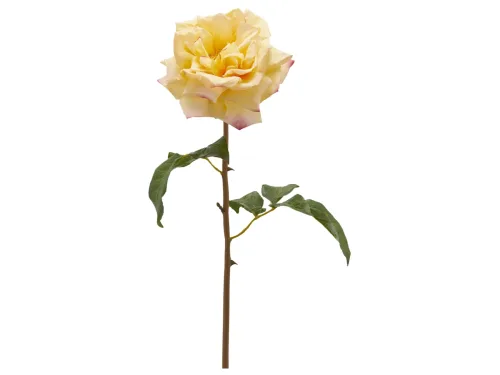 Edg, Edg Kunstblume Rose Hellgelb H: 50 cm  | Schubiger Möbel