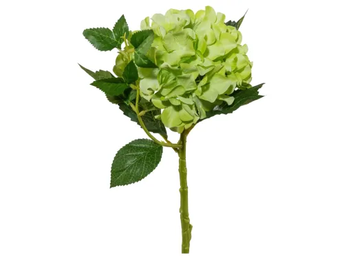 Gasper, Gasper Kunstblume Hortensie, Grün  | Schubiger Möbel
