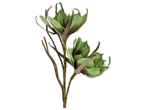 Decofinder, Decofinder Kunstblumen Magnolie Jute, Grün  | Schubiger Möbel