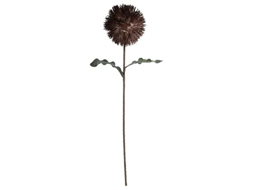 Kersten, Kersten Kunstblumen Blüte Braun H: 76 cm  | Schubiger Möbel