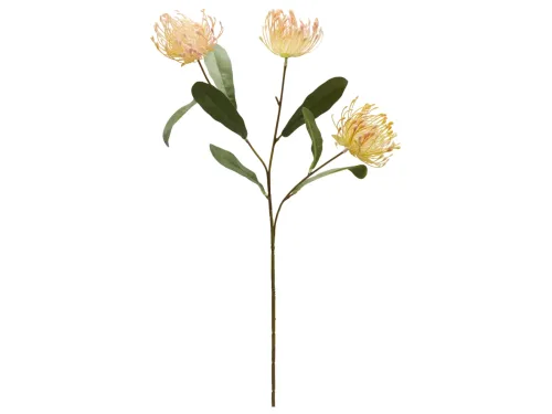 Edg, Edg Kunstblume Protea Grün H: 75 cm  | Schubiger Möbel