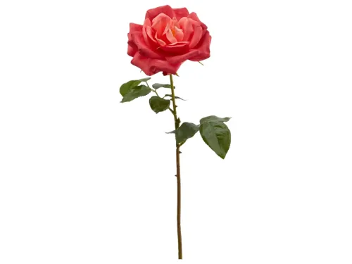 Edg, Edg Kunstblumen Rose Dunkelrot H: 56 cm  | Schubiger Möbel