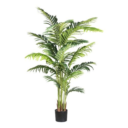 Gasper Kunstpflanze Kentiapalme H: 160 cm  | Schubiger Möbel