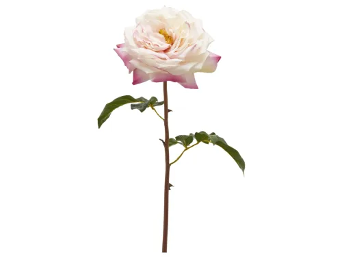 Edg, Edg Kunstblume Rose Hellrosa H: 50 cm  | Schubiger Möbel