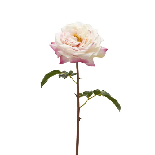 Edg Kunstblume Rose Hellrosa H: 50 cm  | Schubiger Möbel
