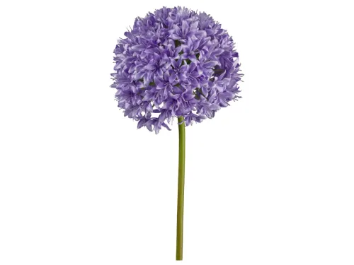 Gasper, Gasper Kunstblume Allium, Lila  | Schubiger Möbel
