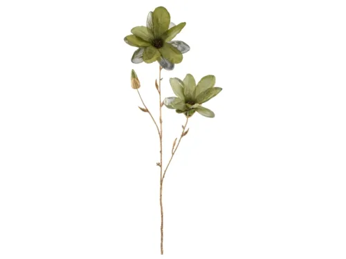 Gasper, Gasper Kunstblumen Magnolie, Grün  | Schubiger Möbel