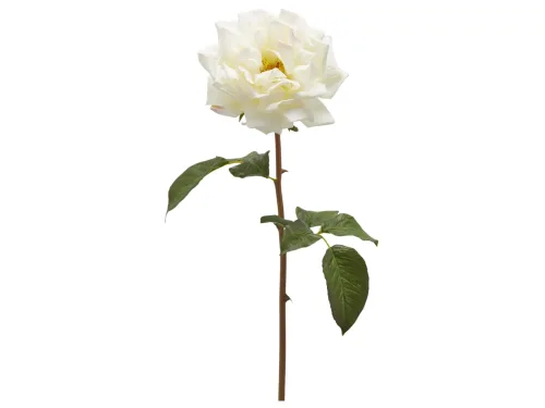Edg, Edg Kunstblume Rose Weiss H: 50 cm  | Schubiger Möbel