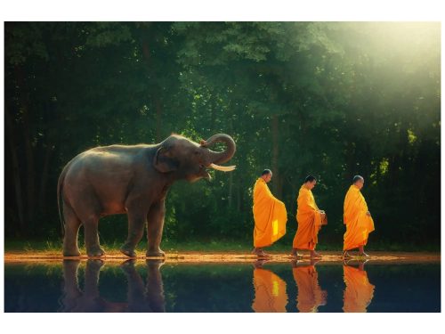 image LAND Digitaldruck auf Glas Mönchwanderung mit Elefant  | Schubiger Möbel