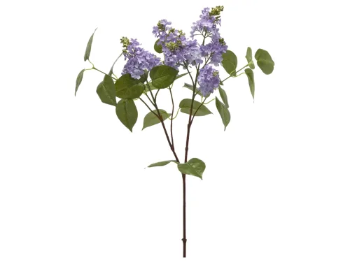 Edg, Edg Kunstblume Flieder Lila H: 66 cm  | Schubiger Möbel