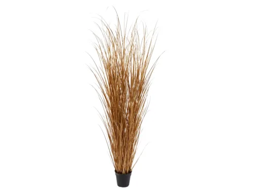 Edg, Edg Kunstpflanzen Schilfgras Gold H: 180 cm  | Schubiger Möbel