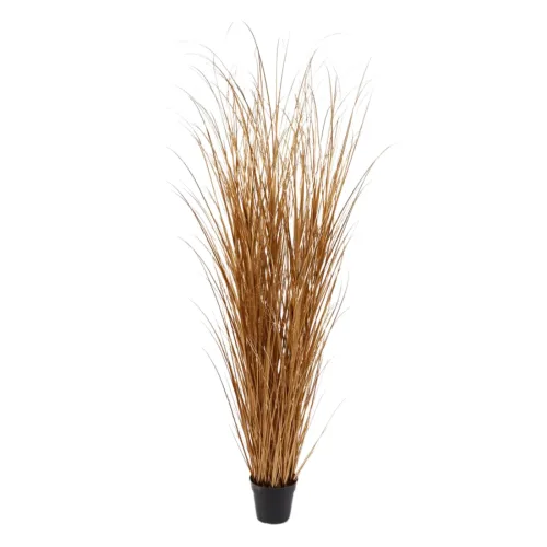 Edg Kunstpflanzen Schilfgras Gold H: 180 cm  | Schubiger Möbel