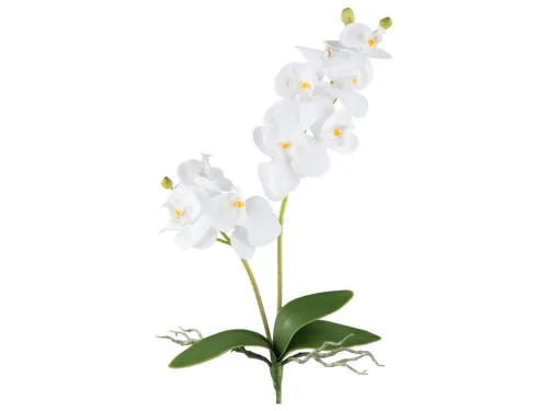 Gasper, Gasper Kunstblume Orchidee Weiss H: 57 cm  | Schubiger Möbel