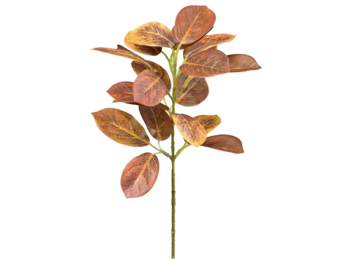 Gasper, Gasper Kunstblume Cotinuszweitg Rostbraun H: 40 cm  | Schubiger Möbel