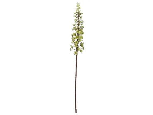 Gasper, Gasper Kunstblume Eremurus, Hellgrün H: 89 cm  | Schubiger Möbel