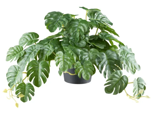 Schubiger Möbel, Gasper Kunstpflanze Splitphilodendron Hänger, Grün  | Schubiger Möbel