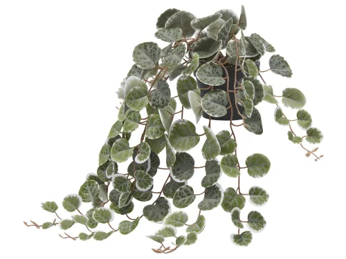 Edg, Edg Kunstblume Seidenpflanze Grün H: 40 cm  | Schubiger Möbel