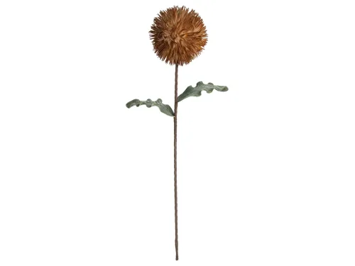 Kersten, Kersten Kunstblumen Blüte Apricot H: 76 cm  | Schubiger Möbel