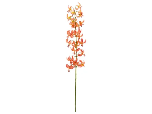 Edg, Edg Kunstblumen Lilie Lachs H: 105 cm  | Schubiger Möbel