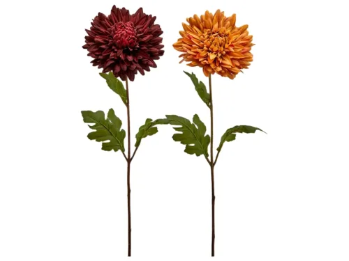 Edg, Edg Kunstblume Chrisantheme Rot-Orange H: 60 cm  | Schubiger Möbel